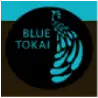 Blue Tokai Coffee